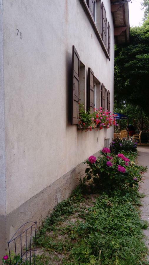 Au Gre Des Sentiers Chez Marie Et Pierre Acomodação com café da manhã Saint-Die-des-Vosges Exterior foto