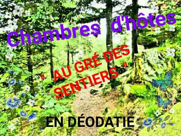 Au Gre Des Sentiers Chez Marie Et Pierre Acomodação com café da manhã Saint-Die-des-Vosges Exterior foto